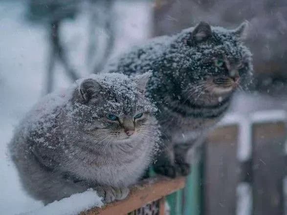 nevelikiy-snig-ta-doschi-sinoptiki-dali-prognoz-pogodi-na-nedilyu