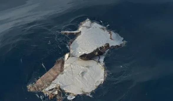 v-indoneziyi-nazvali-poperednyu-prichinu-katastrofi-laynera