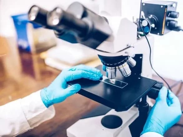 bioflavonoyid-scho-pretenduye-na-zvannya-panatseyi-vse-pro-doslidzhennya-ta-rozrobku-ukrayinskoyi-unikalnoyi-formi-roslinnogo-komponenta