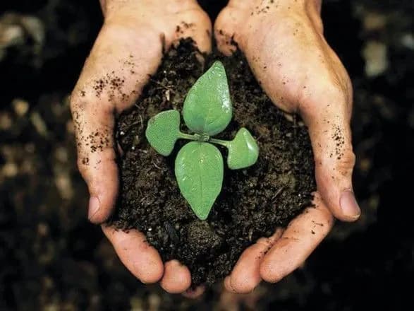 ukrayinski-agrariyi-zaklikayut-parlamentariyiv-rozblokuvati-dostup-do-innovatsiynikh-zasobiv-zakhistu-roslin