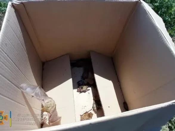 u-dnipropetrovskiy-oblasti-na-balkoni-kvartiri-poselilis-150-kazhaniv