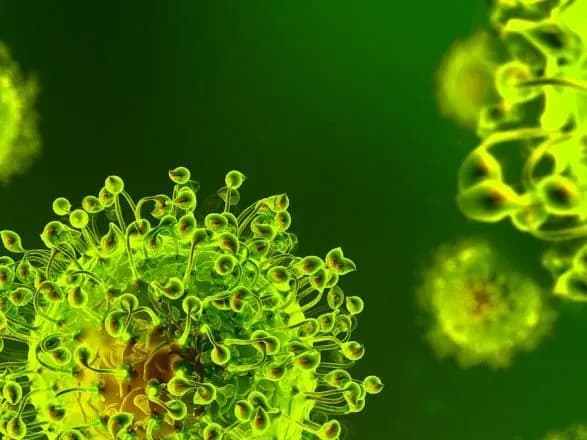 na-bukovini-viyavili-28-novikh-vipadkiv-koronavirusu-za-dobu-1