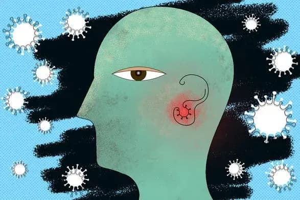 doslidzhennya-virus-sars-cov-2-mozhe-infikuvati-vnutrishnye-vukho-ta-viklikati-tyazhki-porushennya-slukhu