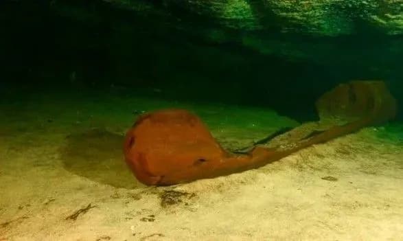 u-meksitsi-znayshli-ridkisne-kanoe-indiantsiv-mayya-yomu-1000-rokiv