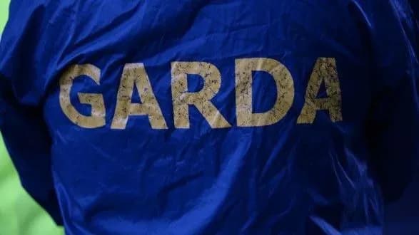 v-irlandiyi-zatrimali-britanskogo-parlamentarya-yakiy-pogrozhuvav-ubiti