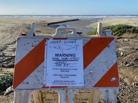 cerfingist-zaginuv-pid-chas-napadu-akuli-na-plyazhi-kaliforniyi