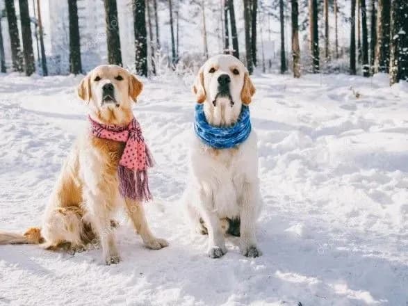 pogoda-na-dorogakh-bilshosti-oblastey-utrimayetsya-ozheleditsya