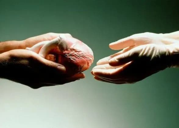 prezident-pidpisav-zakon-scho-sproschuye-protseduri-nadannya-prizhittyevoyi-zgodi-na-donorstvo-organiv