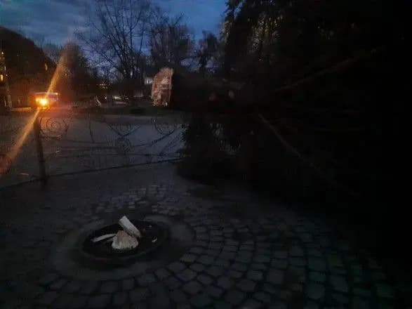 ne-dochekalasya-rizdva-u-kalushi-vpala-novorichna-yalinka