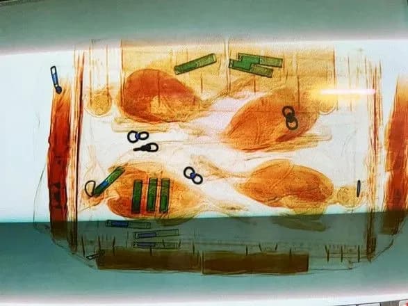 zagornuti-u-tkaninu-ta-prispani-medpreparatami-ukrayinets-khotiv-vivezti-do-kataru-chotirokh-sokoliv