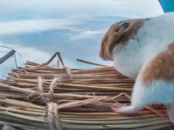 yaponska-kosmichna-kompaniya-zapustila-u-stratosferu-khomyaka