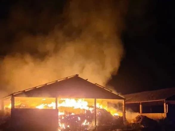 okupanti-obstrilyali-dnipropetrovschinu-postrazhdala-10-richna-divchinka