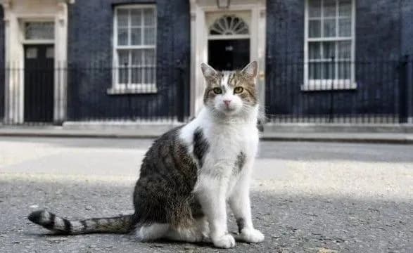 peresidiv-trokh-premyeriv-kit-z-dauning-strit-zalishitsya-golovnim-z-pitan-mishey-i-pri-trass