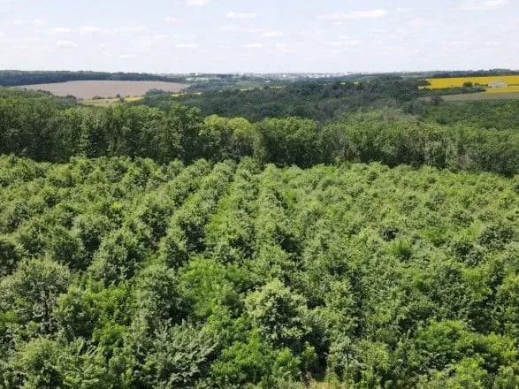 na-cherkaschini-dozvolili-vidviduvati-chastinu-lisiv