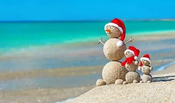 vidpustki-na-zimovi-svyata-na-skilki-zmenshivsya-popit-ta-yaki-napryamki-budut-populyarnimi-tsogorich-sered-ukrayintsiv