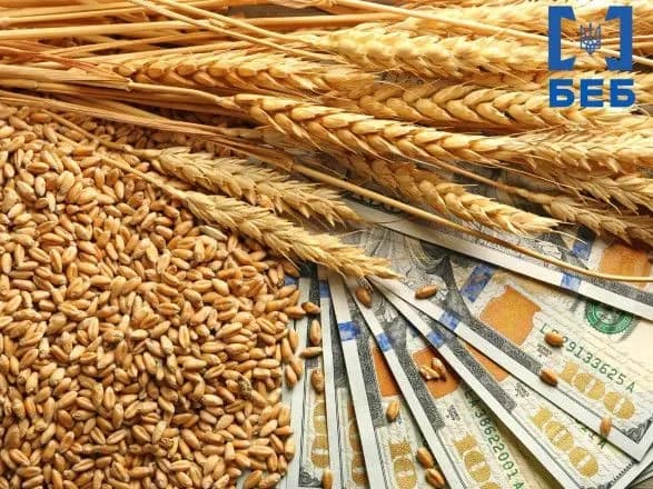 zernova-sprava-pravookhorontsi-proveli-30-obshukiv-na-mitnitsi