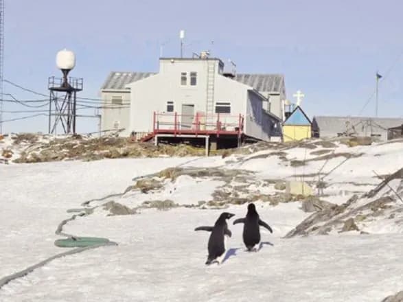 bilya-stantsiyi-akademik-vernadskiy-narodilosya-ditincha-pingvina