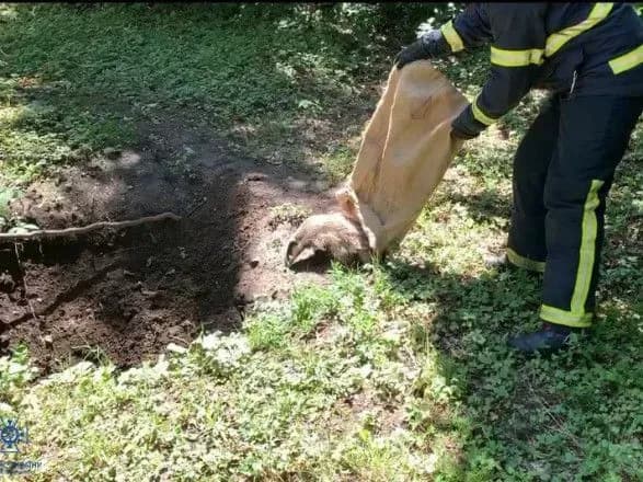 u-chernivtsyakh-ryatuvalniki-distali-z-vodoprovidnogo-kolektora-borsuka