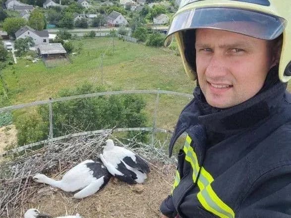 chernigivski-ryatuvalniki-zvilnili-leleku-z-pastki