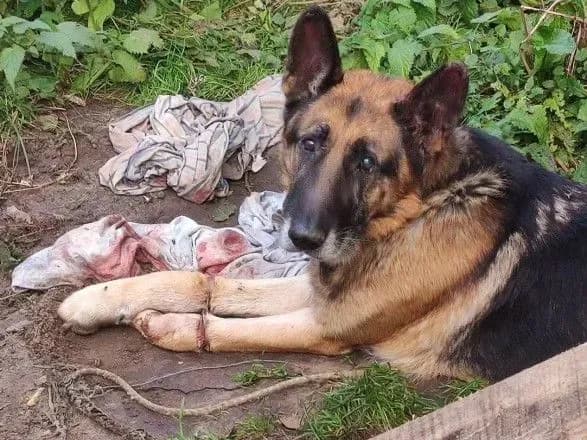 zhintsi-yaka-znuschalas-z-vivcharki-u-koveli-zagrozhuye-do-8-rokiv-tyurmi-natspolitsiya