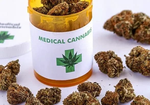 ukrayina-gotova-do-legalizatsiyi-medichnogo-kanabisu-vzhe-tsogo-misyatsya-bloomberg