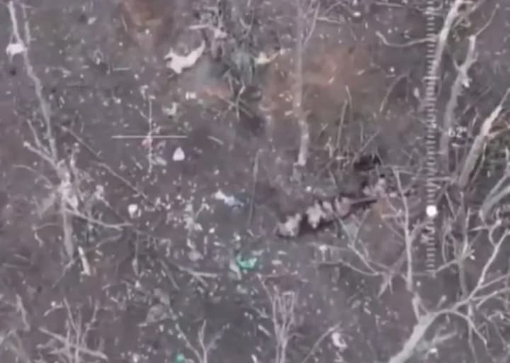 occupants-shoot-captured-afu-soldiers-prosecutors-office-launches-investigation