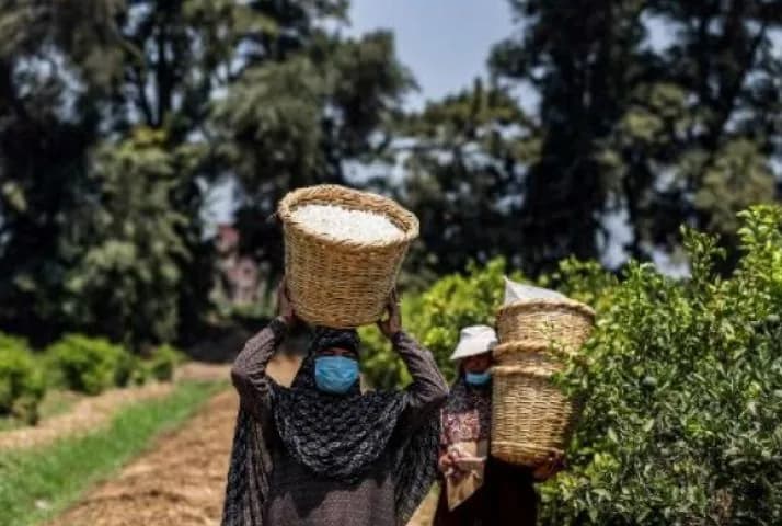 brendy-parfumiv-klasu-liuks-ymovirno-poviazani-z-dytiachoiu-pratseiu