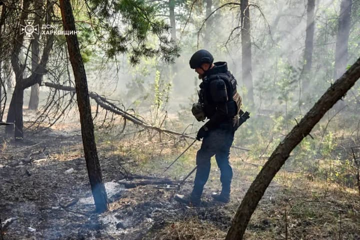 large-scale-forest-fire-extinguished-in-kharkiv-region-after-4-days