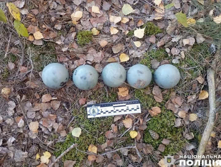 na-chernihivshchyni-zneshkodyly-nebezpechnu-chastynu-rosiiskoi-rakety-kh-59