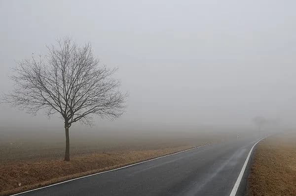 kyiv-will-be-covered-in-fog-on-sunday-drivers-and-pedestrians-are-advised