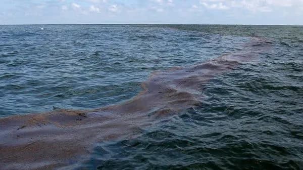 rozlyv-mazutu-v-chornomu-mori-cherez-avariiu-rosiiskykh-tankeriv-zbytky-mozhut-siahnuty-miliardiv