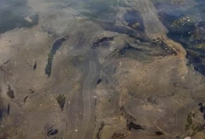 crimean-occupation-authorities-warn-of-risk-of-fuel-oil-spread-to-odesa-region