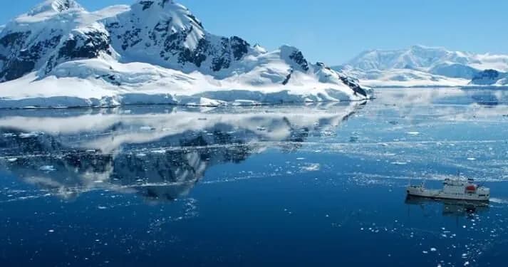 ukrainskie-suda-ustanovili-rekord-po-vilovu-v-antarktike-v-2024-godu-chto-nalovili-i-skolko