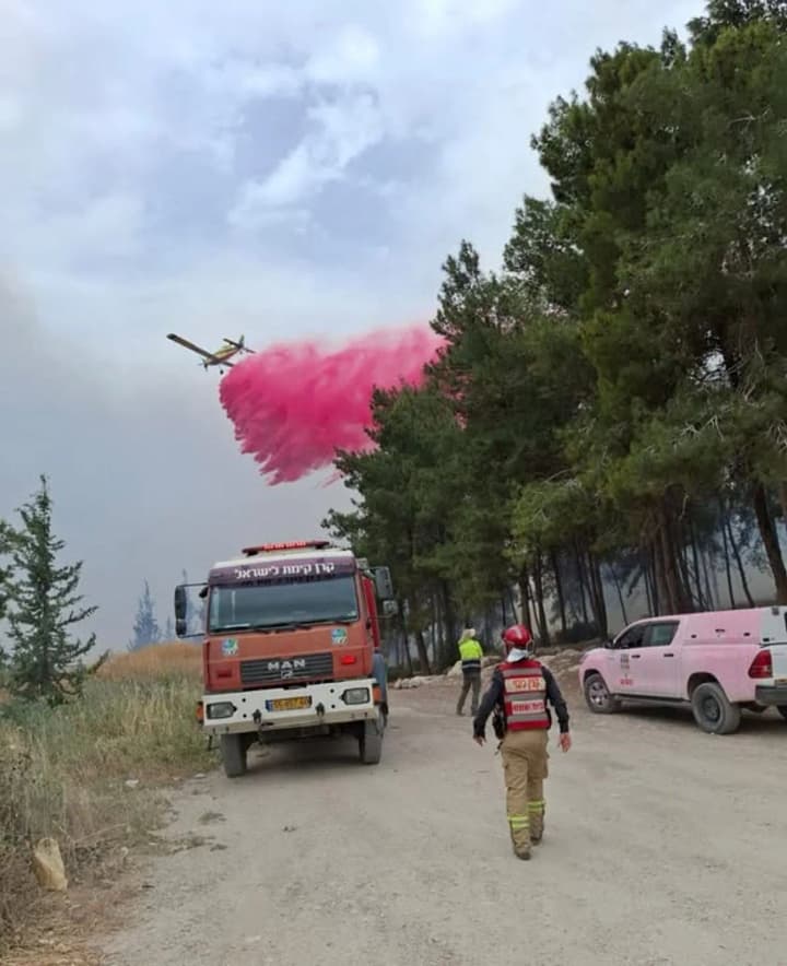 forest-fires-in-israel-may-threaten-jerusalem-ukraine-has-offered-assistance