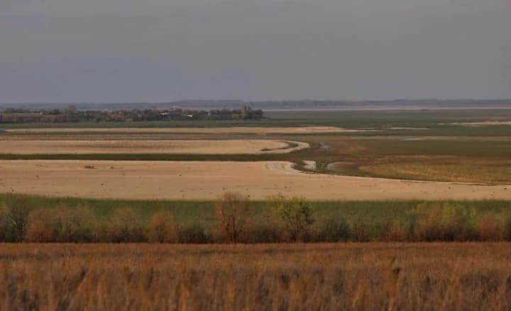 pod-kievom-bolee-170-grazhdan-rossii-vladeli-pochti-100-ga-zemli-ugodya-vozvrashcheni-v-sobstvennost-ukraini