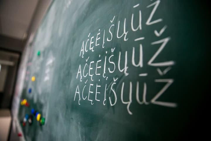 u-lytvi-khochut-zoboviazaty-inozemnykh-pratsivnykiv-volodity-bazovoiu-lytovskoiu-movoiu