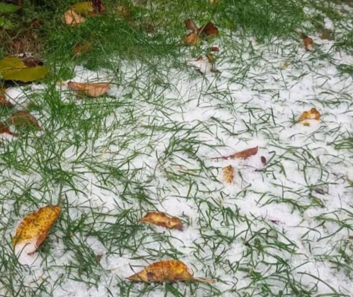 first-snow-fell-near-kyiv-what-will-the-weather-be-like-in-the-capital-and-region-in-the-coming-days