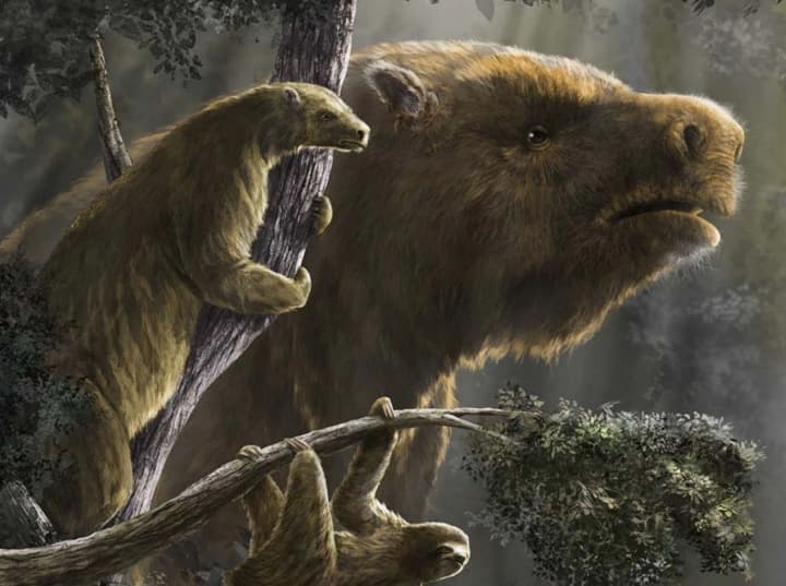 prehistoric-sloths-were-giants-and-played-a-unique-role-in-the-ecosystem