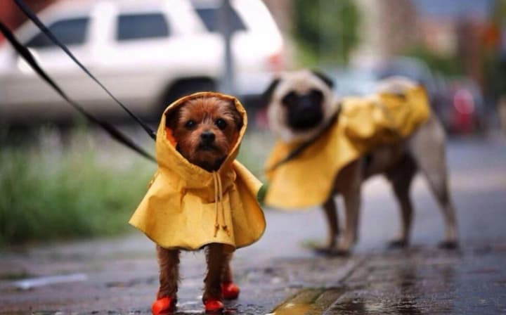 ukraine-to-be-covered-by-rain-snow-and-black-ice-weather-forecast-for-november-22