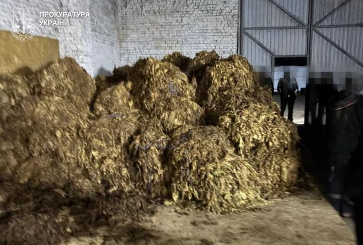 virashchivali-pererabativali-sbivali-likvidirovano-podpolnoe-proizvodstvo-tabaka-na-bolee-chem-25-mln-grn-v-trekh-oblastyakh