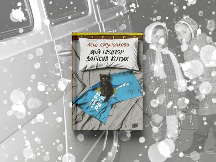 knigoi-goda-bbc-2025-stal-roman-moi-flag-obmochil-kotik