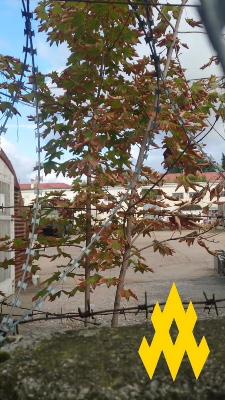 partizani-razvedali-klyuchevoi-logisticheskii-uzel-chernomorskogo-flota-v-sevastopole