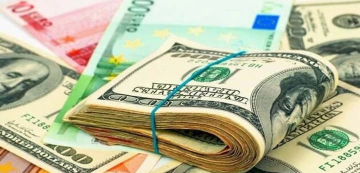 dollar-and-euro-lose-ground-nbu-sets-exchange-rate-for-december-15