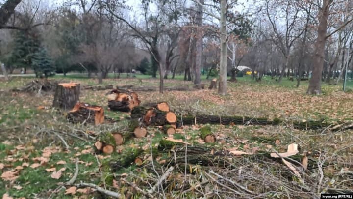 u-simferopoli-pid-vyhliadom-rekonstruktsii-parku-haharina-znyshchuiut-zeleni-nasadzhennia-derevynu-vidpravliaiut-na-front