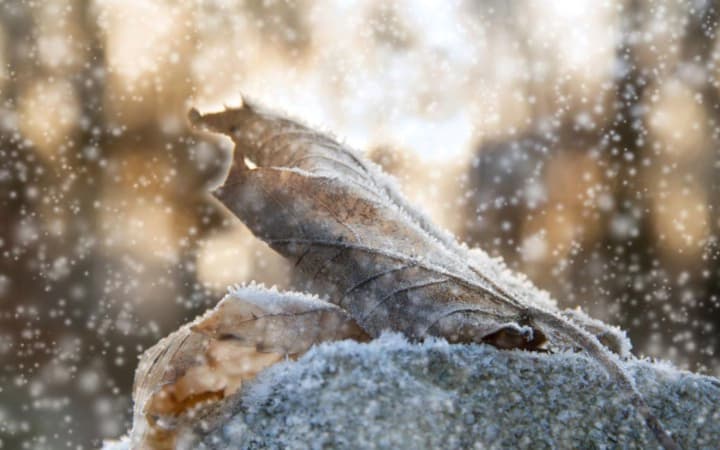 na-zakhodi-ta-pivnochi-krainy-nevelykyi-snih-na-reshti-terytorii-bez-opadiv-prohnoz-pohody-na-23-hrudnia