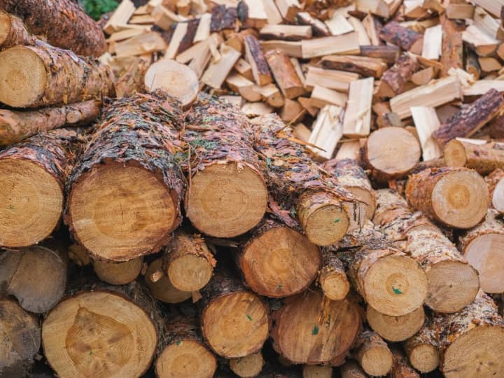 bezpidstavna-zakupivlia-derevyny-na-16-mln-hrn-eksdyrektoru-lymanskoho-lishospu-povidomleno-pro-pidozru