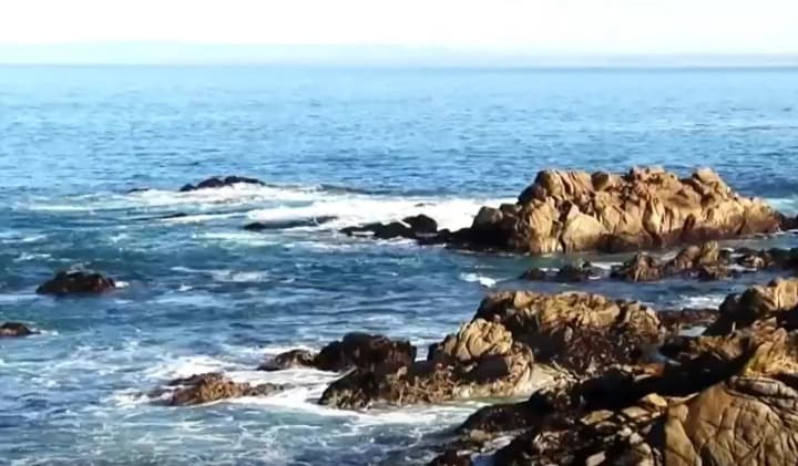 akula-atakuvala-17-plavtsiv-u-kalifornii-zhinka-znykla-bezvisty