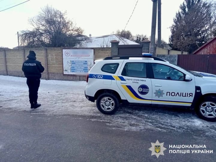 18-year-old-girl-in-kyiv-region-threw-a-kitten-against-a-wall-filming-it-on-her-phone-an-investigation-has-been-launched-police