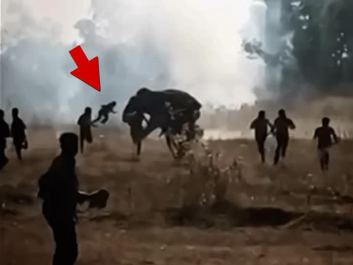 v-indii-rozliuchenyi-slon-ubyv-22-liudyny-za-desiat-dniv-operatsiia-z-yoho-vylovu-tryvaie-vlada-vtratyla-kontrol