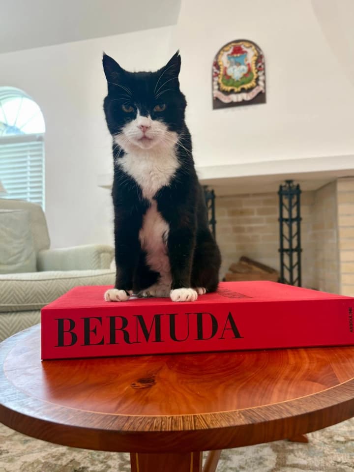 kit-palmerston-kolyshnii-holovnyi-mysholov-mzs-brytanii-pomer-na-bermudskykh-ostrovakh